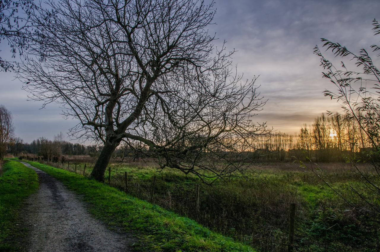 De Koolputten Waasmunster ภายนอก รูปภาพ